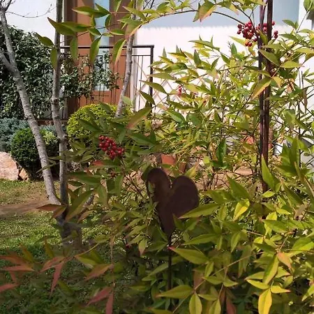 לינה וארוחת בוקר Le Betulle
