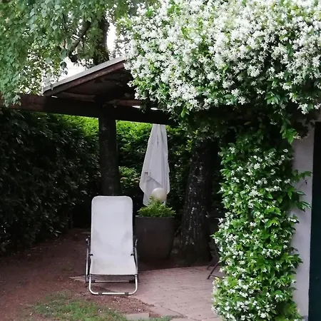 Le Betulle Bed & Breakfast Zanica